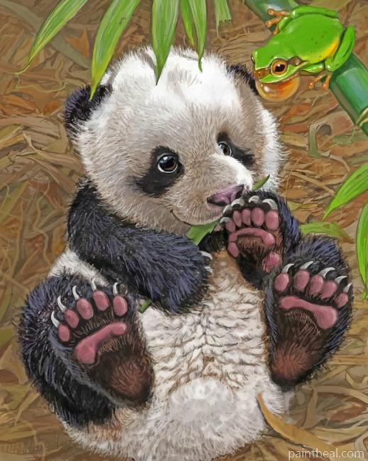Baby Panda Painting By Numbers Kits