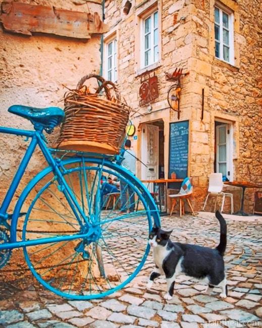 Cat And Blue Bike Painting By Numbers Kits