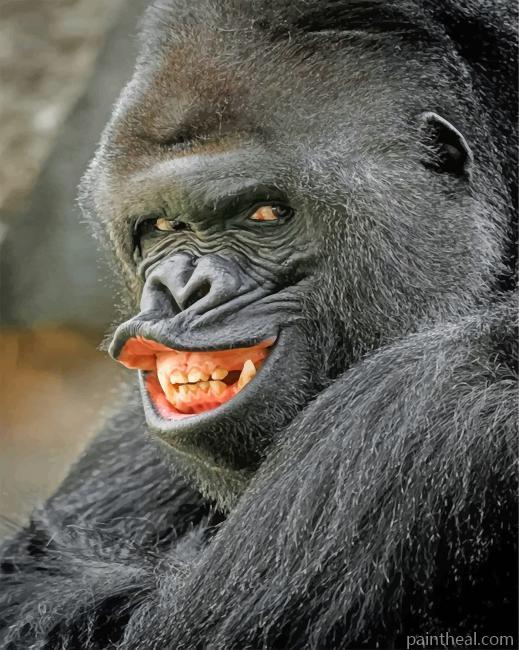 Evil Silverback Gorilla Painting By Numbers Kits