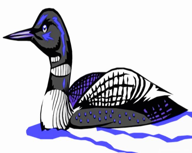 American Loon Painting By Numbers Kits