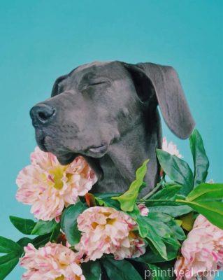 Great Dane With Flowers Crown Painting By Numbers Kits