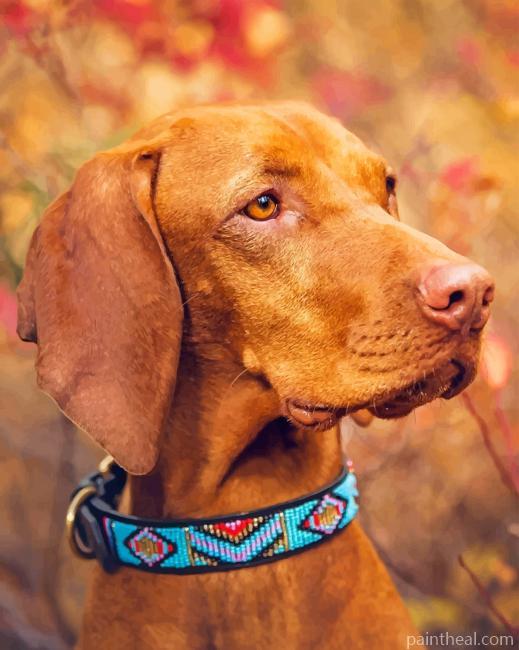 Brown Weimaraner Painting By Numbers Kits