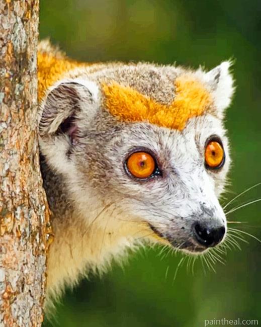 Lemur Painting By Numbers Kits