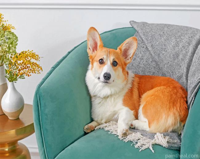 Welsh Corgi Painting By Numbers Kits