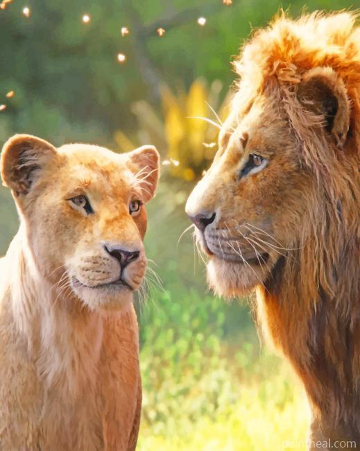 The Lion King And His Lioness Painting By Numbers Kits