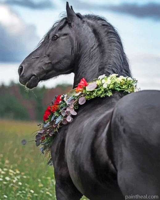 Arabian Horse With Flowers Painting By Numbers Kits