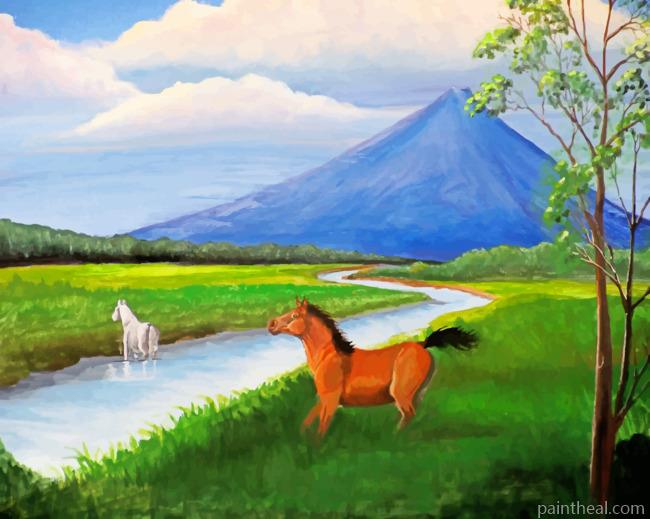 Volcano Horses Of Costa Rica Painting By Numbers Kits