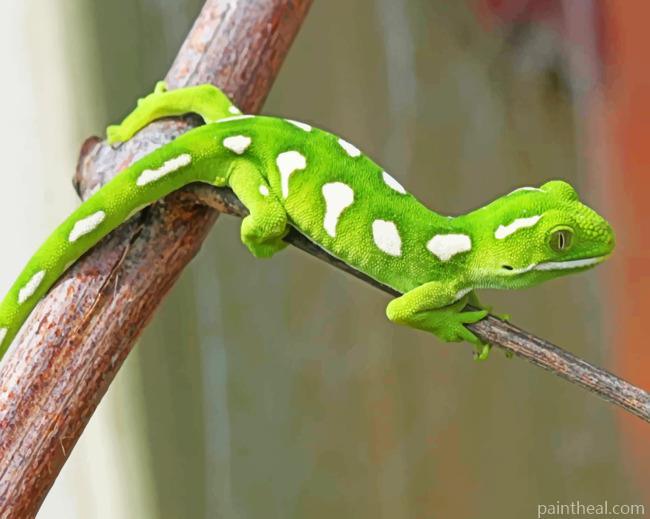 Gecko Lizard Painting By Numbers Kits