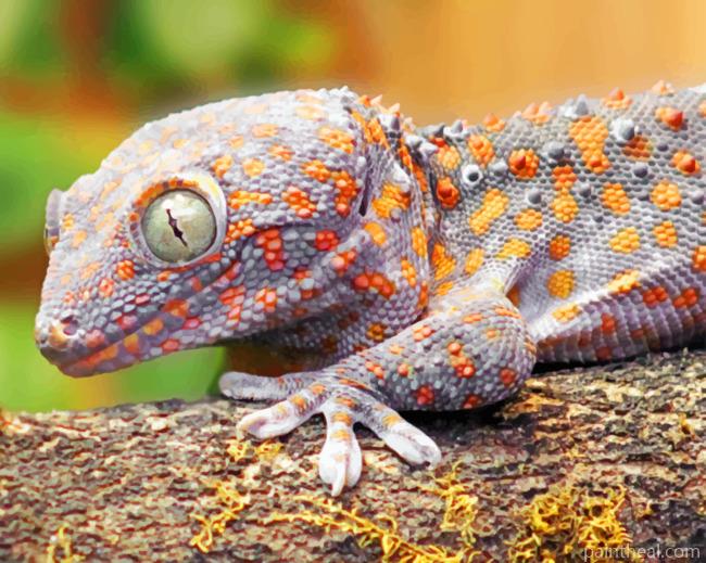 Grey Gecko Painting By Numbers Kits