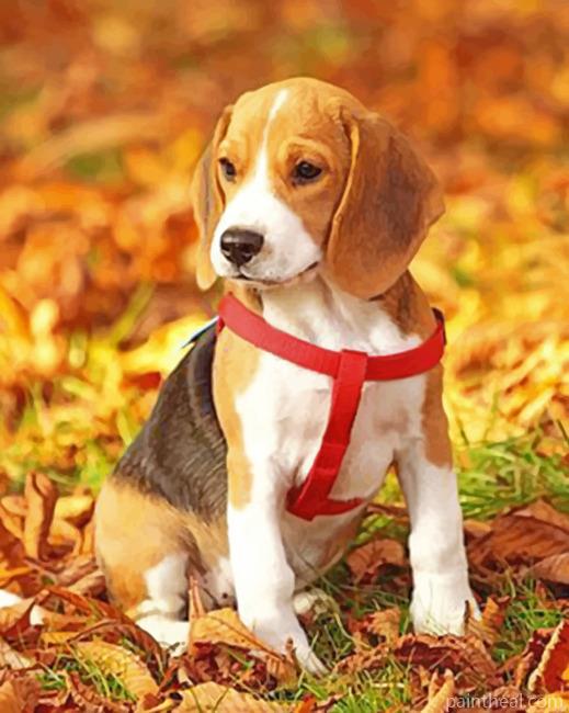 Aesthetic Beagle Puppy Painting By Numbers Kits