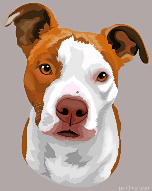 Staffy Dog Painting By Numbers Kits
