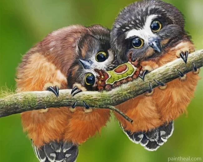 Cute Owls Painting By Numbers Kits