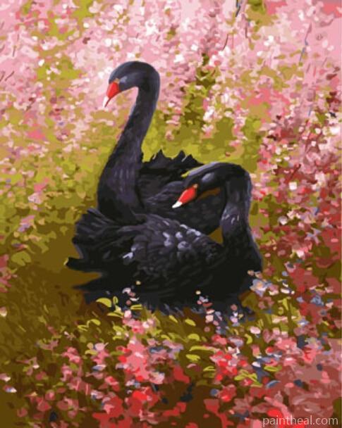 Black Swans Painting By Numbers Kits