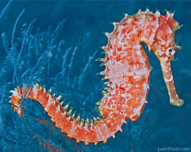 Seahorse Painting By Numbers Kits