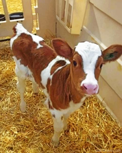 Cute Baby Brown Cow Painting By Numbers Kits