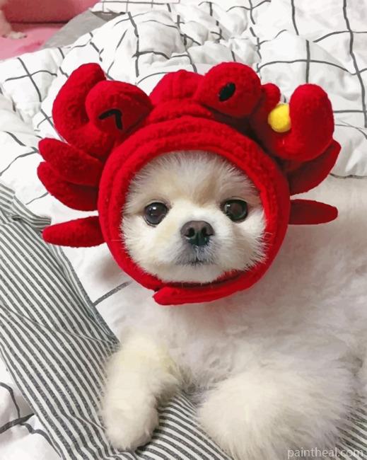 Shih Tzu Wearing A Red Cap Painting By Numbers Kits