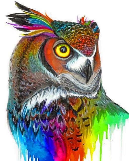 Aesthetic Colorful Owl Painting By Numbers Kits