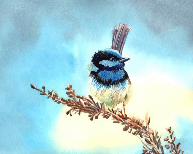 Blue Fairy Wren Painting By Numbers Kits