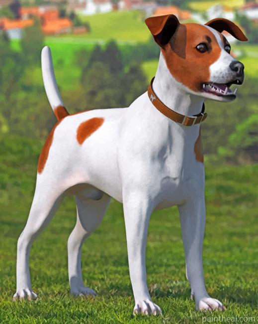 Spotted Jack Russell Terrier Painting By Numbers Kits