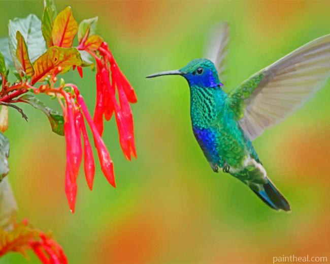 Blue And Green Hummingbird Painting By Numbers Kits