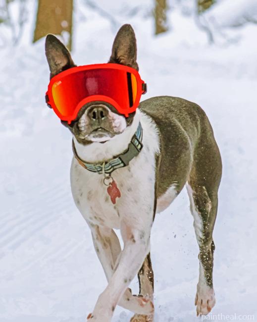 Boston Terrier In The Snow Painting By Numbers Kits