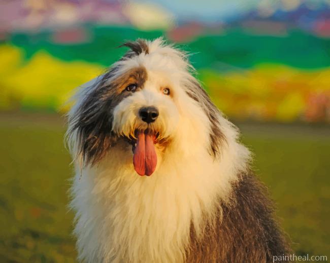 Adorable Old English Sheepdog Painting By Numbers Kits
