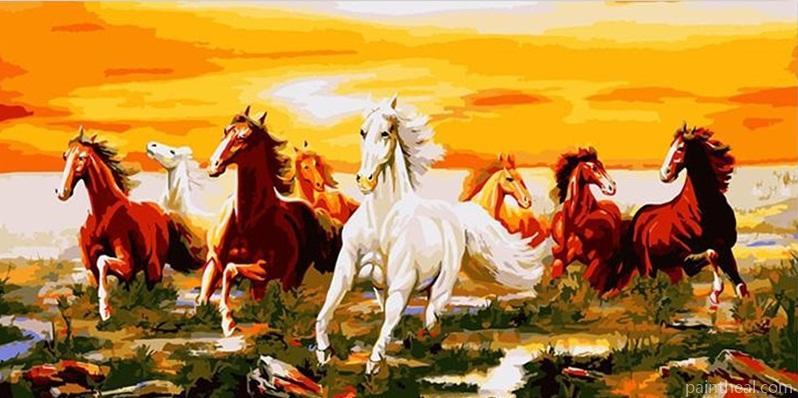 Herd Of Horses Painting By Numbers Kits