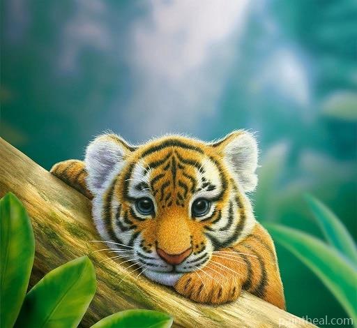 Budding Tiger Painting By Numbers Kits