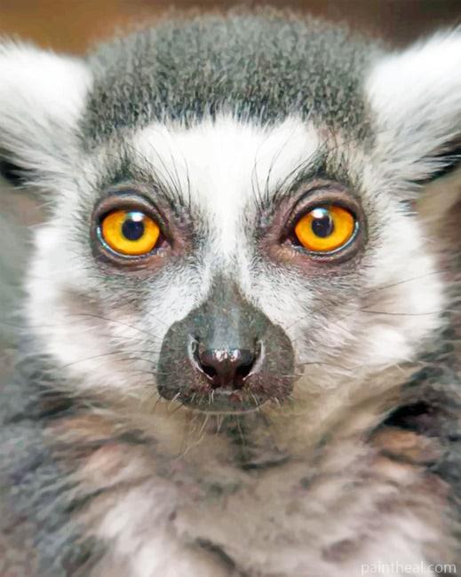 Raing Tailed Lemur Face Painting By Numbers Kits
