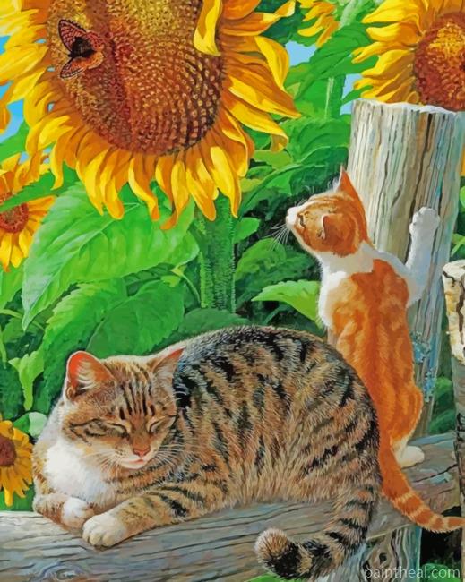 Sunflower And Cats Painting By Numbers Kits