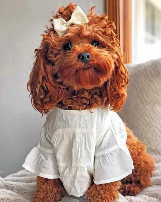 Adorable Cockapoo Painting By Numbers Kits