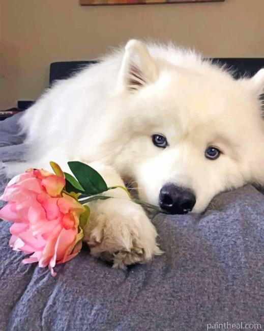 American Eskimo And A Pink Rose Painting By Numbers Kits