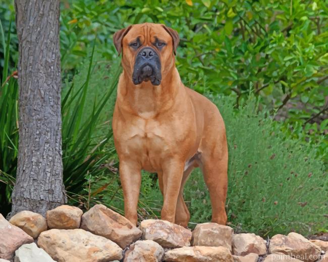 Bullmastiff Painting By Numbers Kits