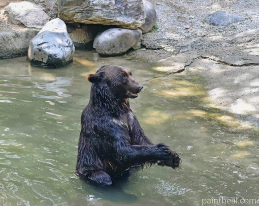 Black Bear Taking A Bath – 5D Diamond Painting Painting By Numbers Kits