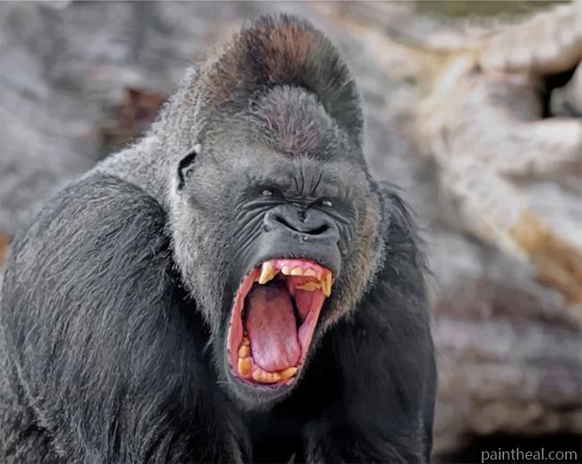 Mad Silverback Gorilla Painting By Numbers Kits