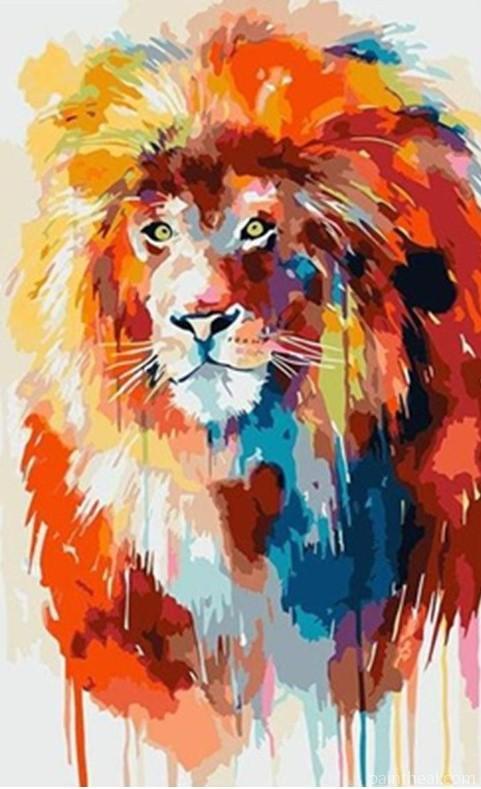 Lion Painting By Numbers Kits