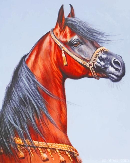Sorrel Arabian Horse Painting By Numbers Kits