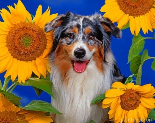 Border Collie Black Dog – 5D Diamond Paintings Painting By Numbers Kits