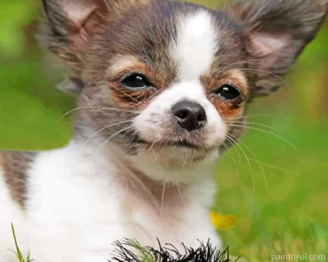 Happy Chihuahua Puppy Painting By Numbers Kits