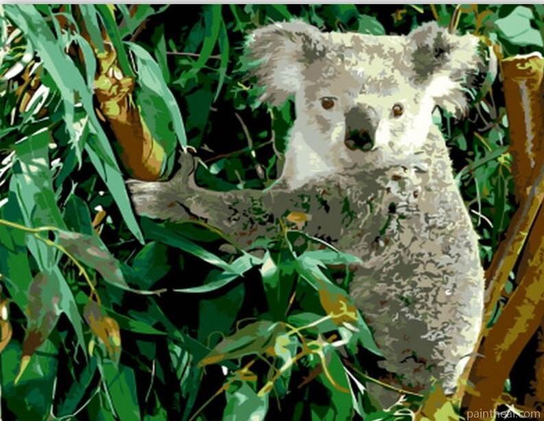 Koala Eucalyptus Painting By Numbers Kits