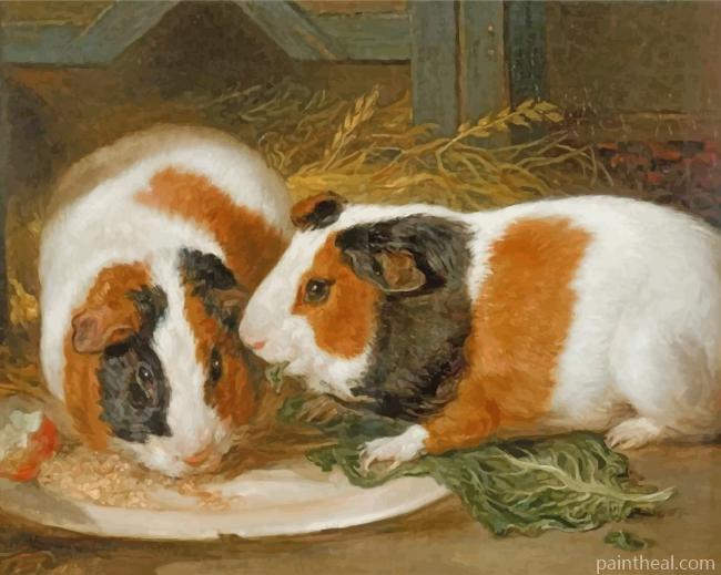 Guinea Pigs Painting By Numbers Kits