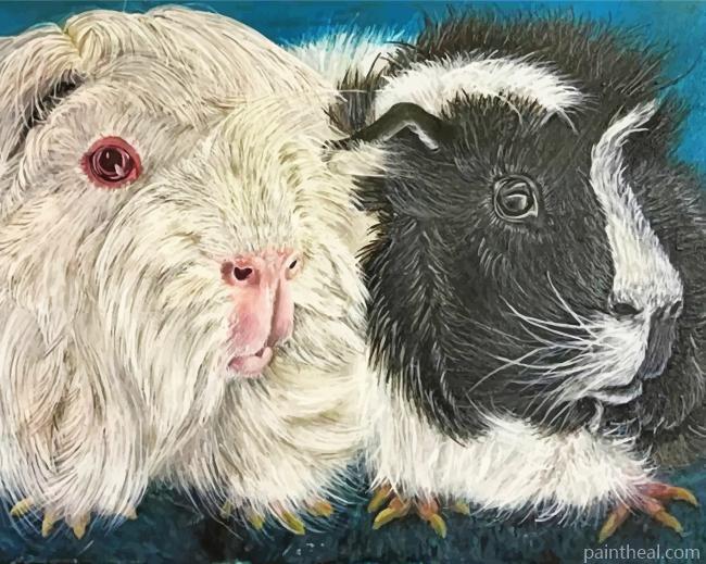 Aesthetic Guinea Pigs Painting By Numbers Kits