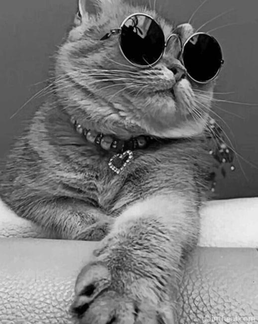 Tabby Cat With Sunglasses Painting By Numbers Kits