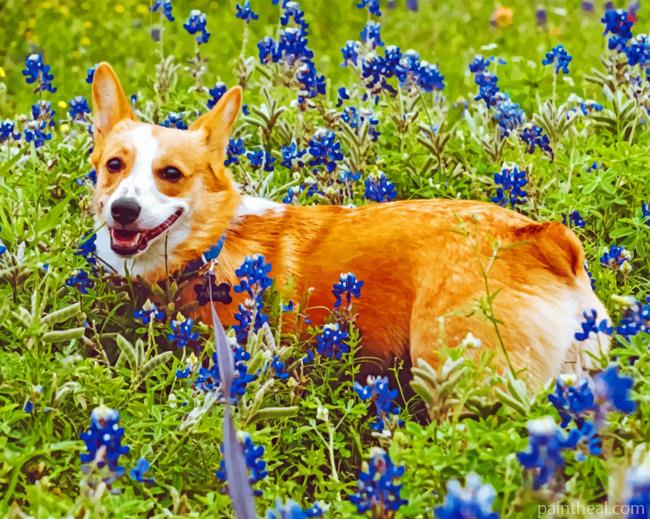 Dog And Bluebonnet Painting By Numbers Kits