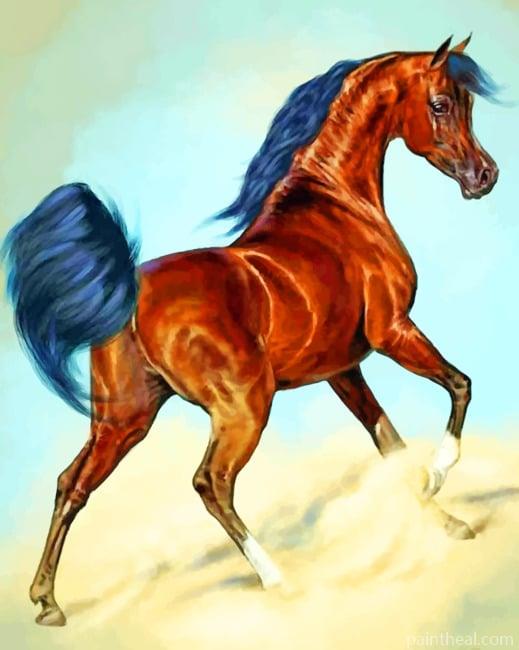 Wild Arabian Horse Painting By Numbers Kits