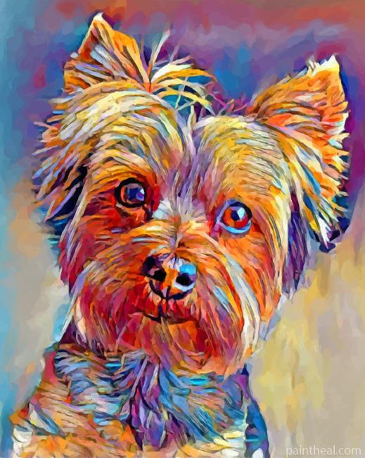 Cute Yorkshire Terrier Painting By Numbers Kits