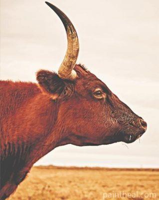 Bull Painting By Numbers Kits