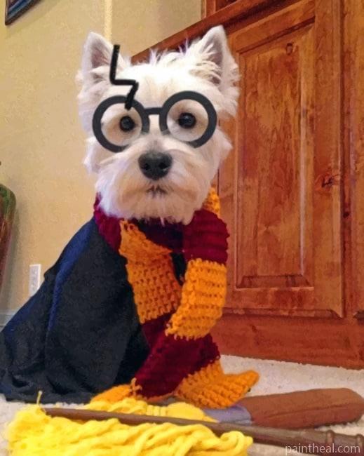 Westie Potter Painting By Numbers Kits