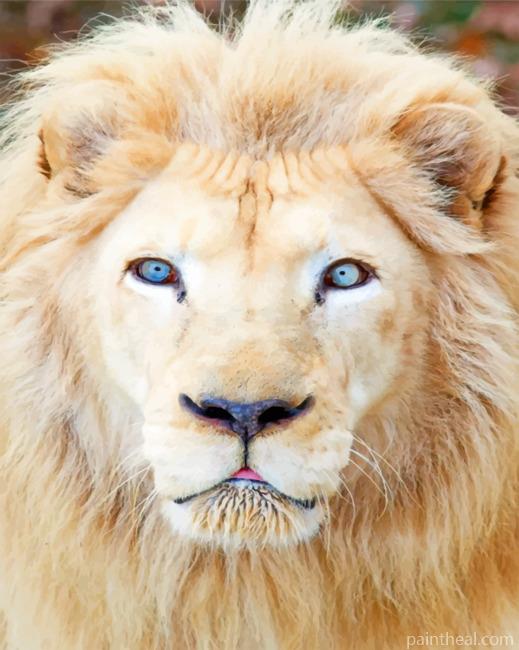 White Lion With Blue Eyes Painting By Numbers Kits