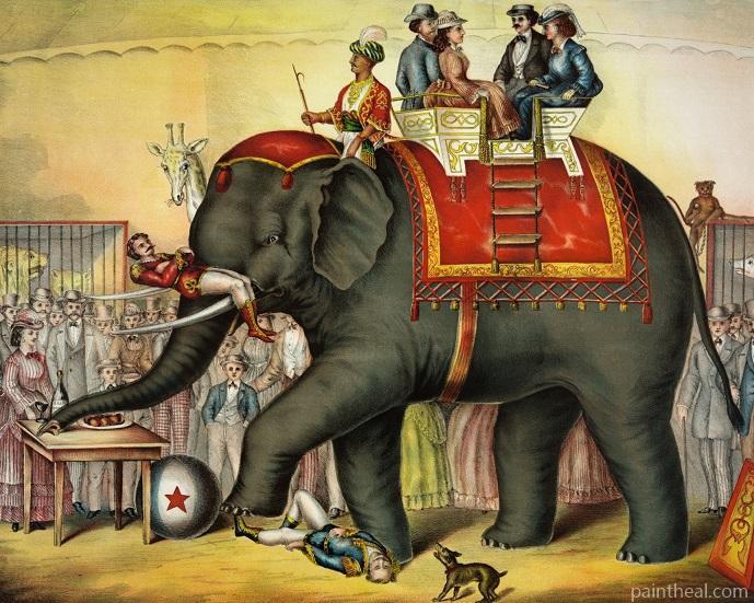 Indian Circus Elephant Painting By Numbers Kits